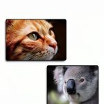 Visual Chinese Vocabulary Dictionary Ediciones Narizko Kindle 58‑Page-0