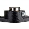 SpinCo 1-1/8 Two Bolt Flange Bearing High Quality Cast Iron-2