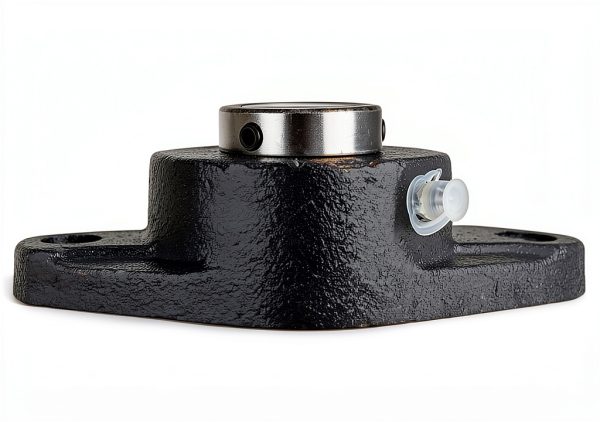 SpinCo 1-1/8 Two Bolt Flange Bearing High Quality Cast Iron-2