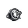 QJZ SBLF205-16 2‑Bolt Flange Bearing – 1 in Shaft, Cast Iron Housing-0