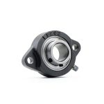 QJZ SBLF205-16 2‑Bolt Flange Bearing – 1 in Shaft, Cast Iron Housing-0
