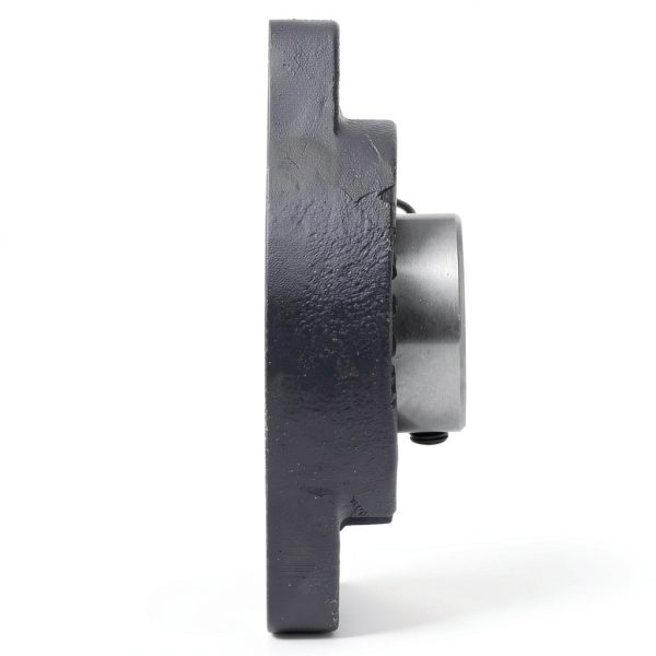 QJZ SBLF205-16 2‑Bolt Flange Bearing – 1 in Shaft, Cast Iron Housing-4