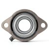 QJZ SBLF205-16 2‑Bolt Flange Bearing – 1 in Shaft, Cast Iron Housing-2