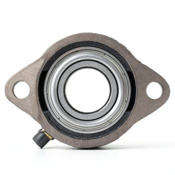 QJZ SBLF205-16 2‑Bolt Flange Bearing – 1 in Shaft, Cast Iron Housing-2