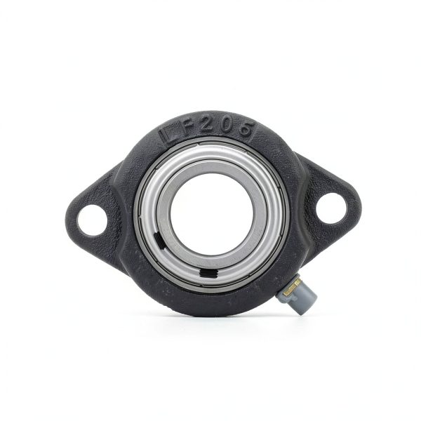 QJZ SBLF205-16 2‑Bolt Flange Bearing – 1 in Shaft, Cast Iron Housing-1