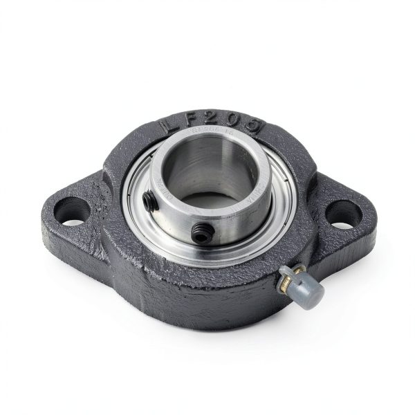 QJZ SBLF205-16 2‑Bolt Flange Bearing – 1 in Shaft, Cast Iron Housing-3